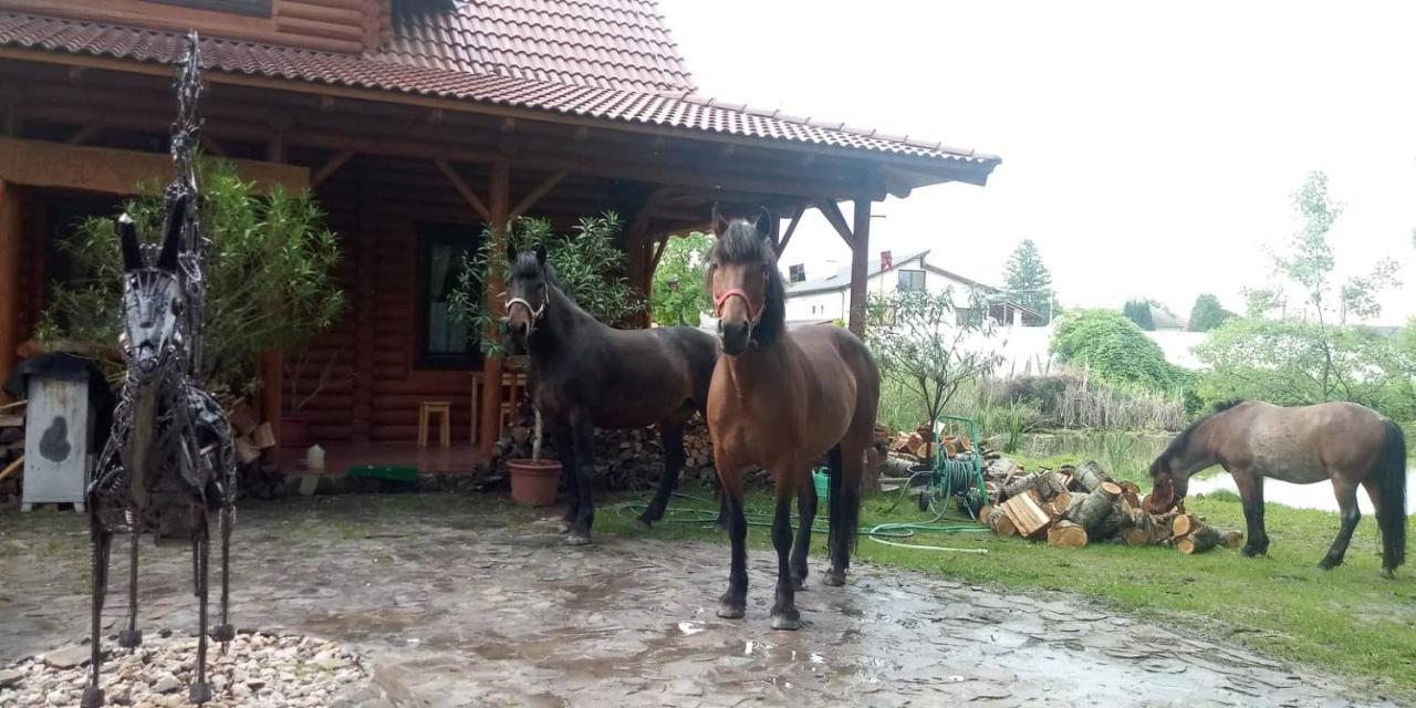 Dom Argyelus - Argyelus Haz - Fesztypark Hotel Martovce Exterior foto